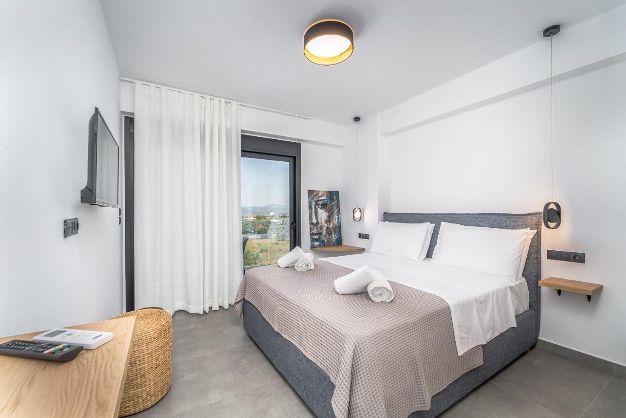 Nemesis Luxury Villas Apolpaina Extérieur photo
